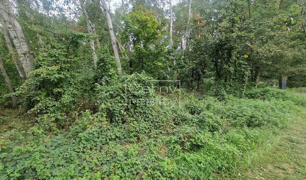 Prodej stavebního pozemku 3 376 m², Lázně Bohdaneč – náhled fotky 14