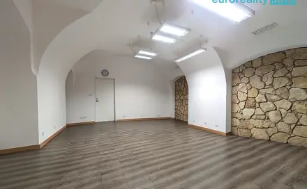 Pronájem obchodních prostor 50 m², Zbrojnická, Plzeň - Vnitřní Město