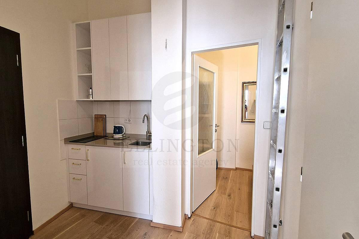 Pronájem bytu 2+kk 39 m² — photo 4