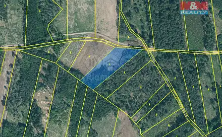 Prodej lesa 15 115 m², Jetětice, okres Písek