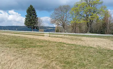 Prodej stavebního pozemku 6 036 m², Zdíkov - Masákova Lhota, okres Prachatice