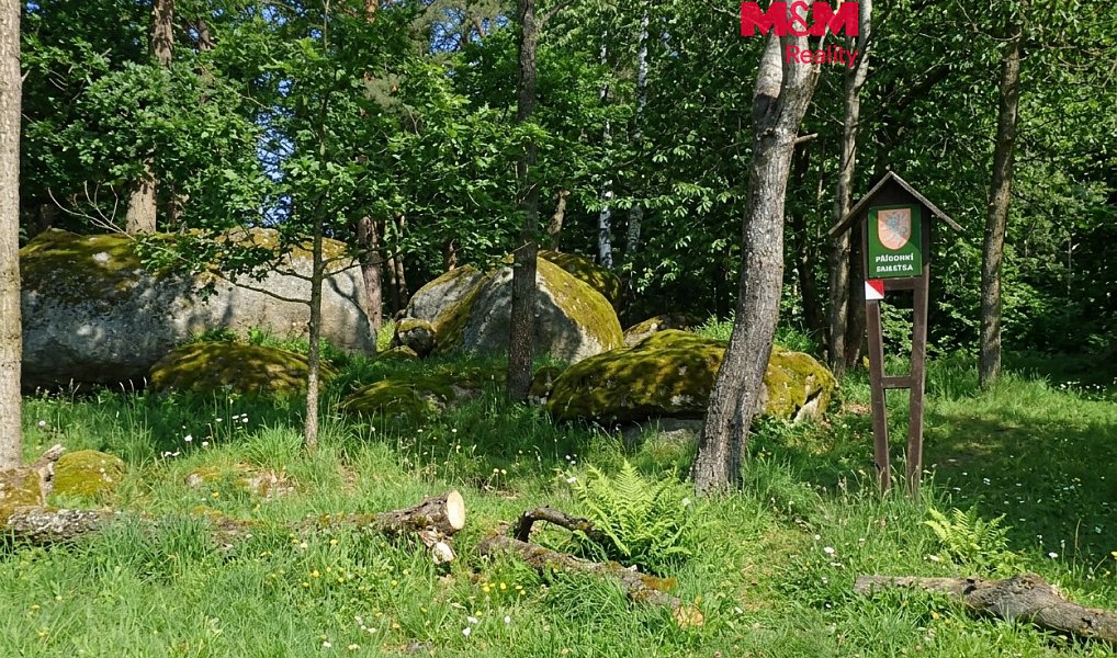 Prodej lesa 7 042 m², Petrovice – fotka 1 z 14