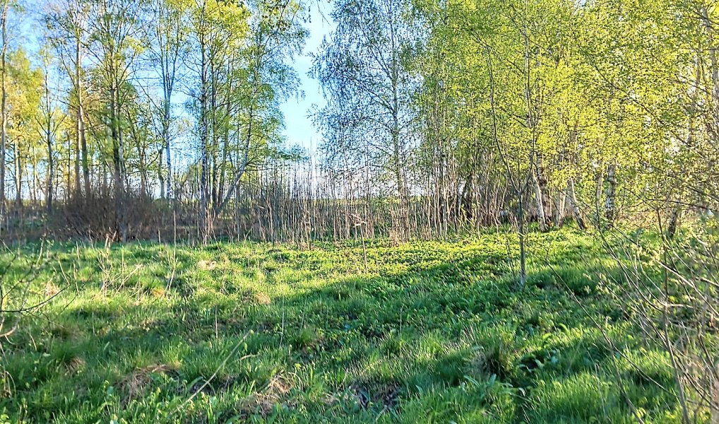 Prodej stavebního pozemku 2 966 m², Stará Voda – náhled fotky 3
