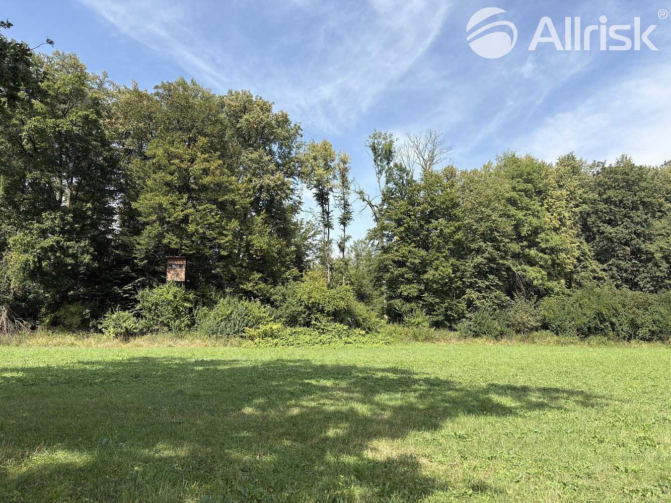 Prodej louky 2 145 m² – fotografie 3