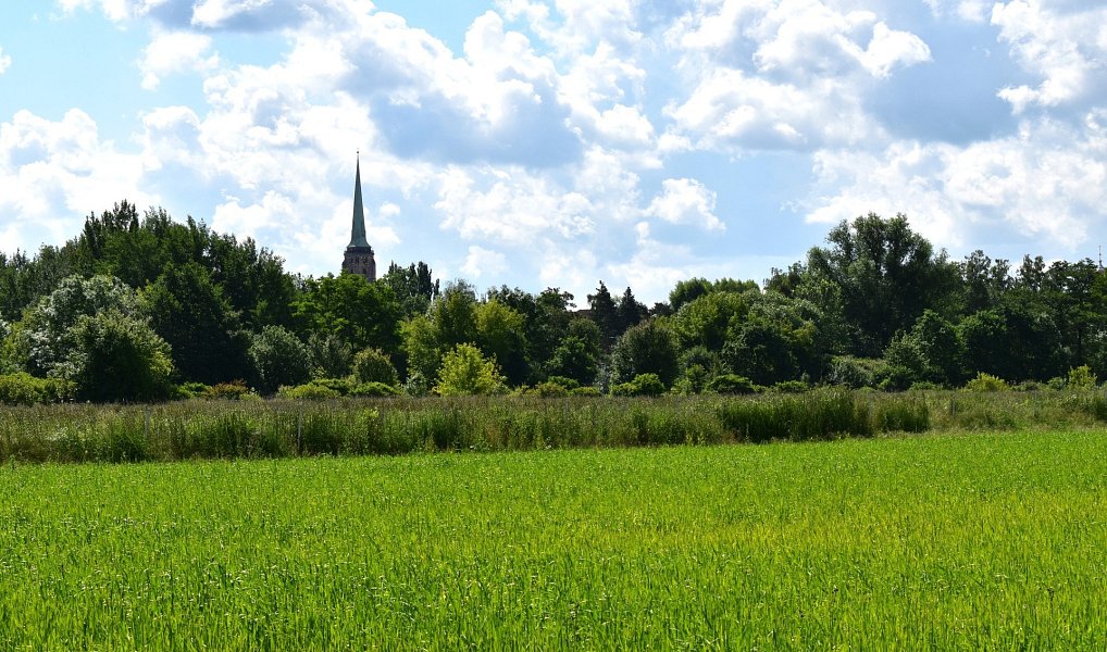 Prodej pole 36 521 m², Plzeň – náhled fotky 5