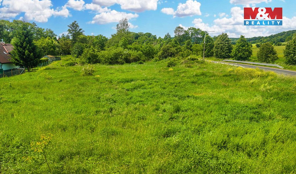 Prodej stavebního pozemku 3 582 m², Žandov – náhled fotky 4