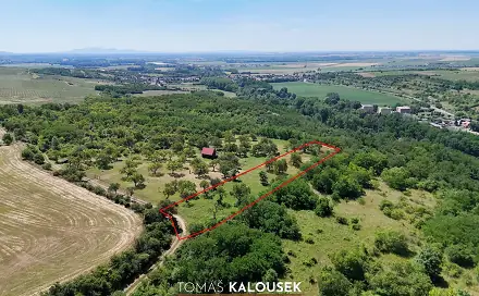Prodej zahrady 4 478 m², Dolní Kounice, okres Brno-venkov