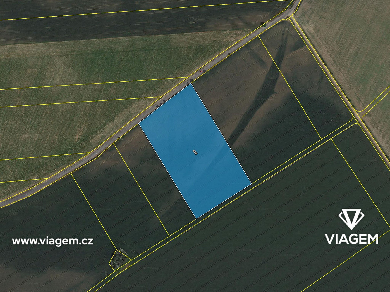 Prodej pole 2 650 m² – fotografie 4