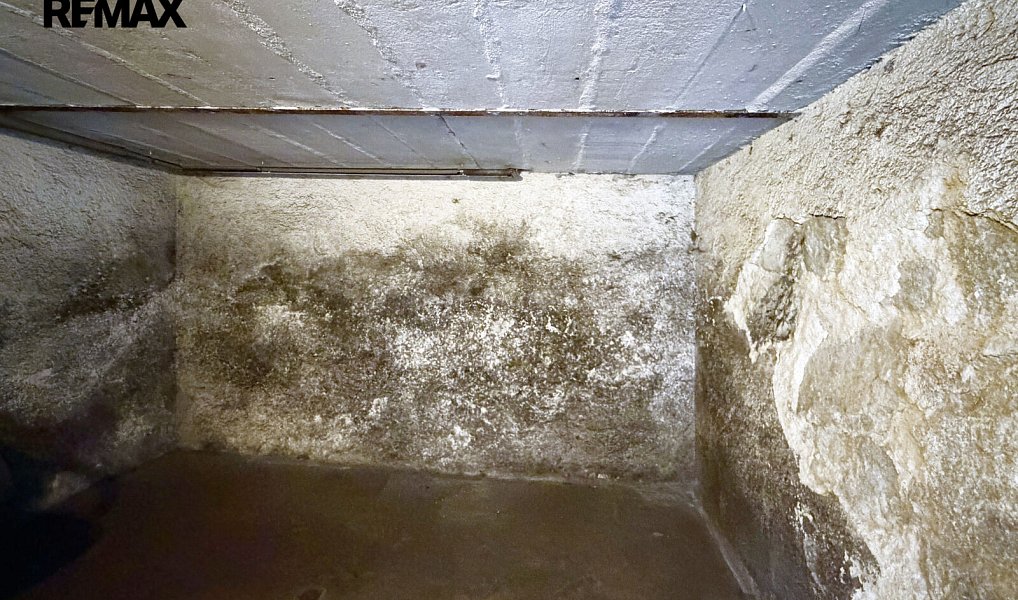 Prodej domu 197 m² s pozemkem 3 575 m², Nejdek – náhled fotky 40