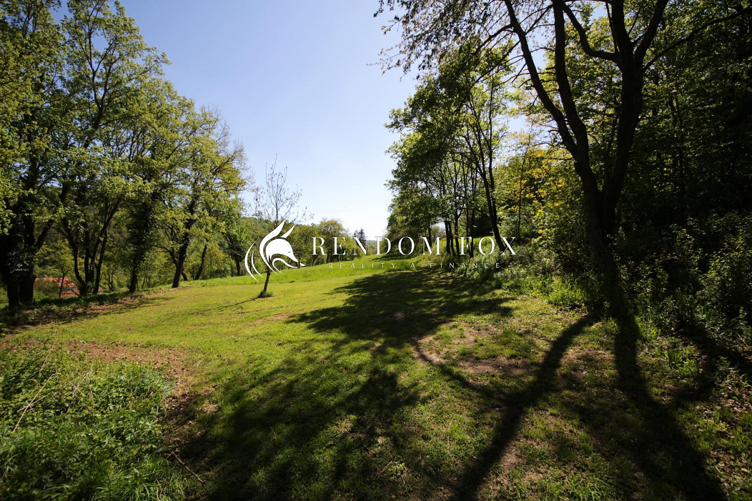 Prodej louky 5 416 m²