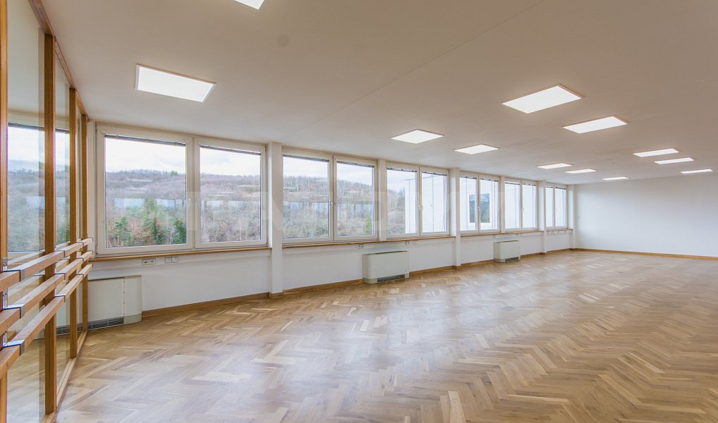 Pronájem kanceláře 257 m², Praha – náhled fotky 4