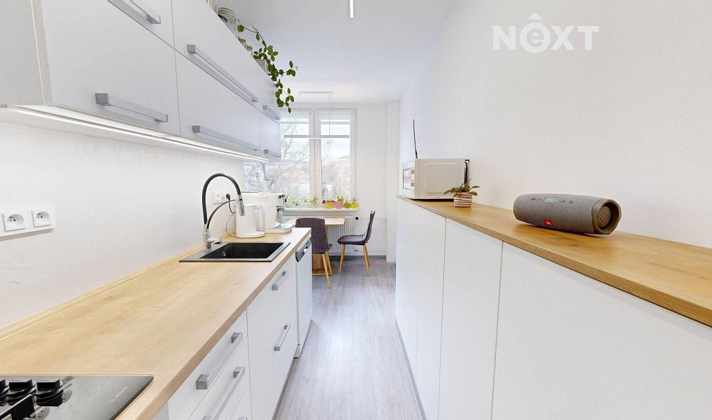 Prodej bytu 2+1 59 m², Nad parkem, Meziboří, okres Most