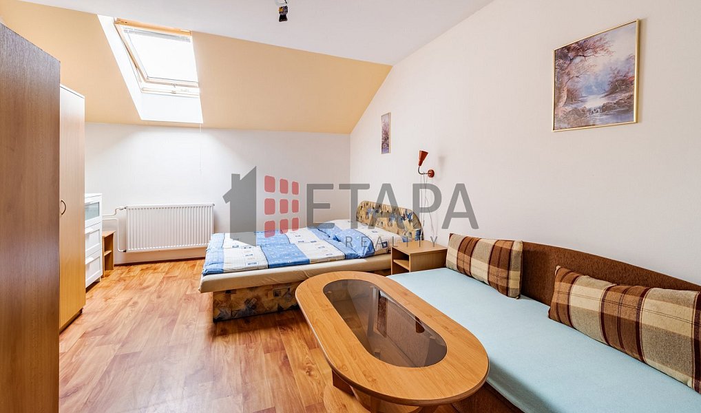 Prodej ubytovacího objektu 432 m², Ražice – náhled fotky 10