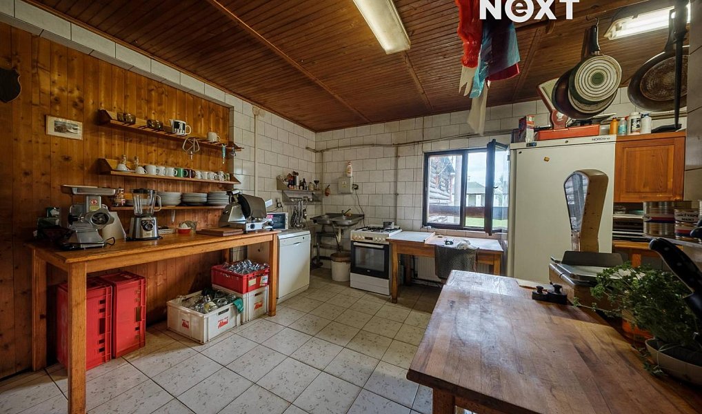 Prodej domu 380 m² s pozemkem 3 150 m², Čestín – náhled fotky 13