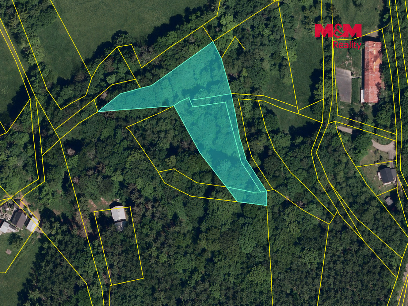 Prodej lesa 26 129 m² – fotografie 4