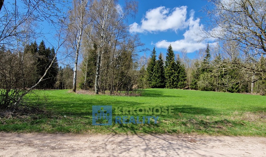 Prodej pozemku 2 788 m², Černý Důl – náhled fotky 8