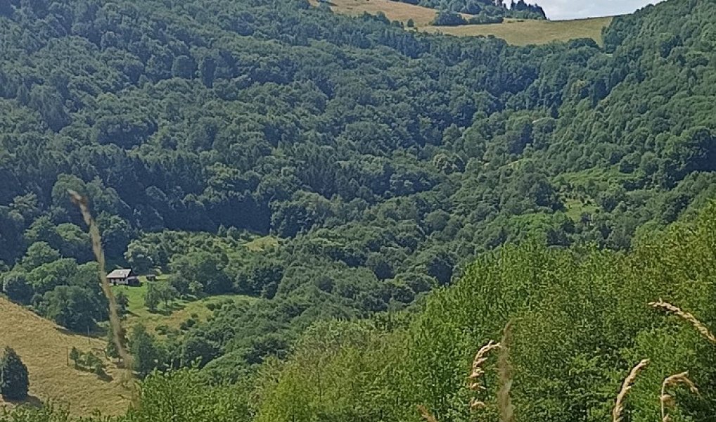 Prodej pozemku 42 844 m², Lopeník – náhled fotky 3
