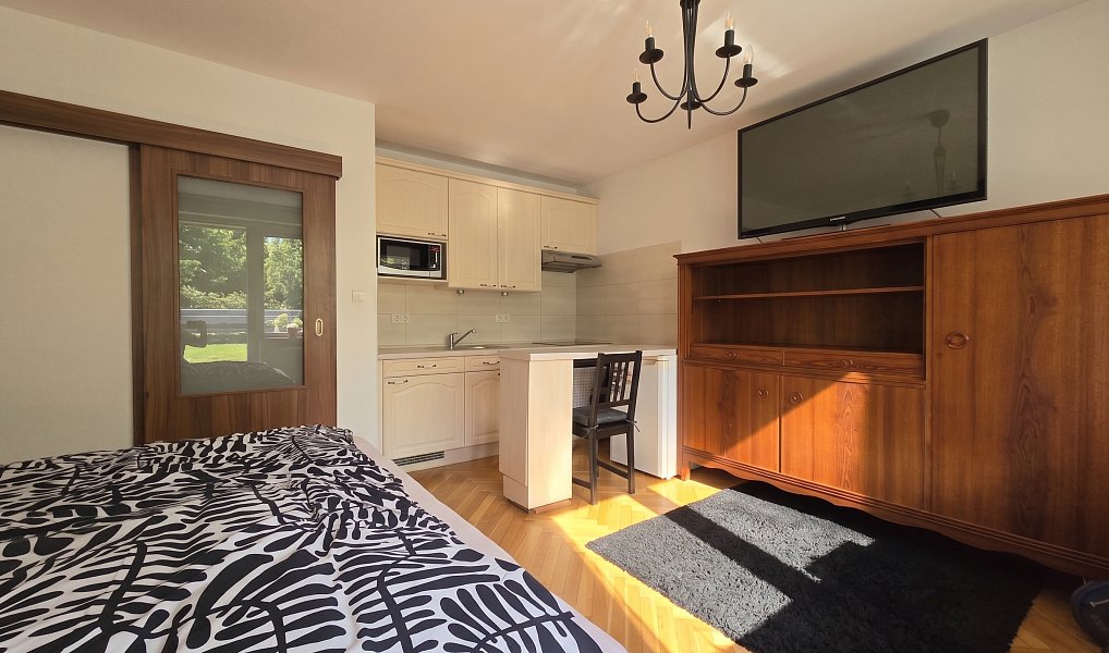 Prodej bytu 1+kk 31 m², Brno – náhled fotky 2