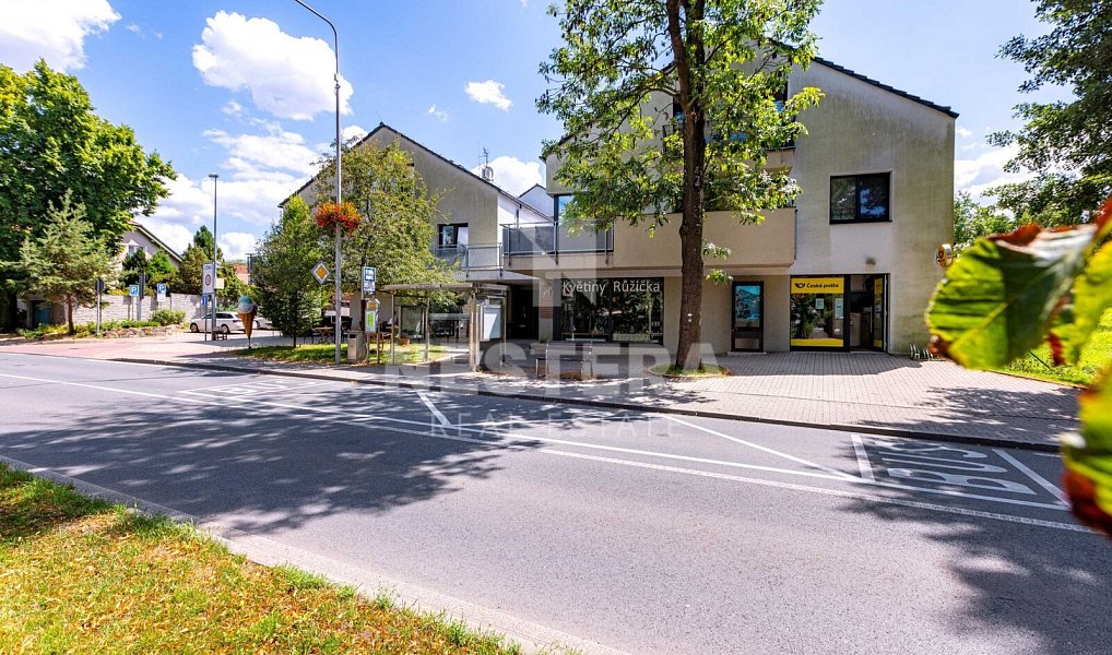Prodej domu 444 m² s pozemkem 2 325 m², Vestec – náhled fotky 46