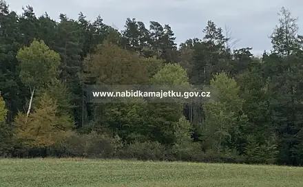 Prodej lesa 109 m², Dolní Studénky, okres Šumperk