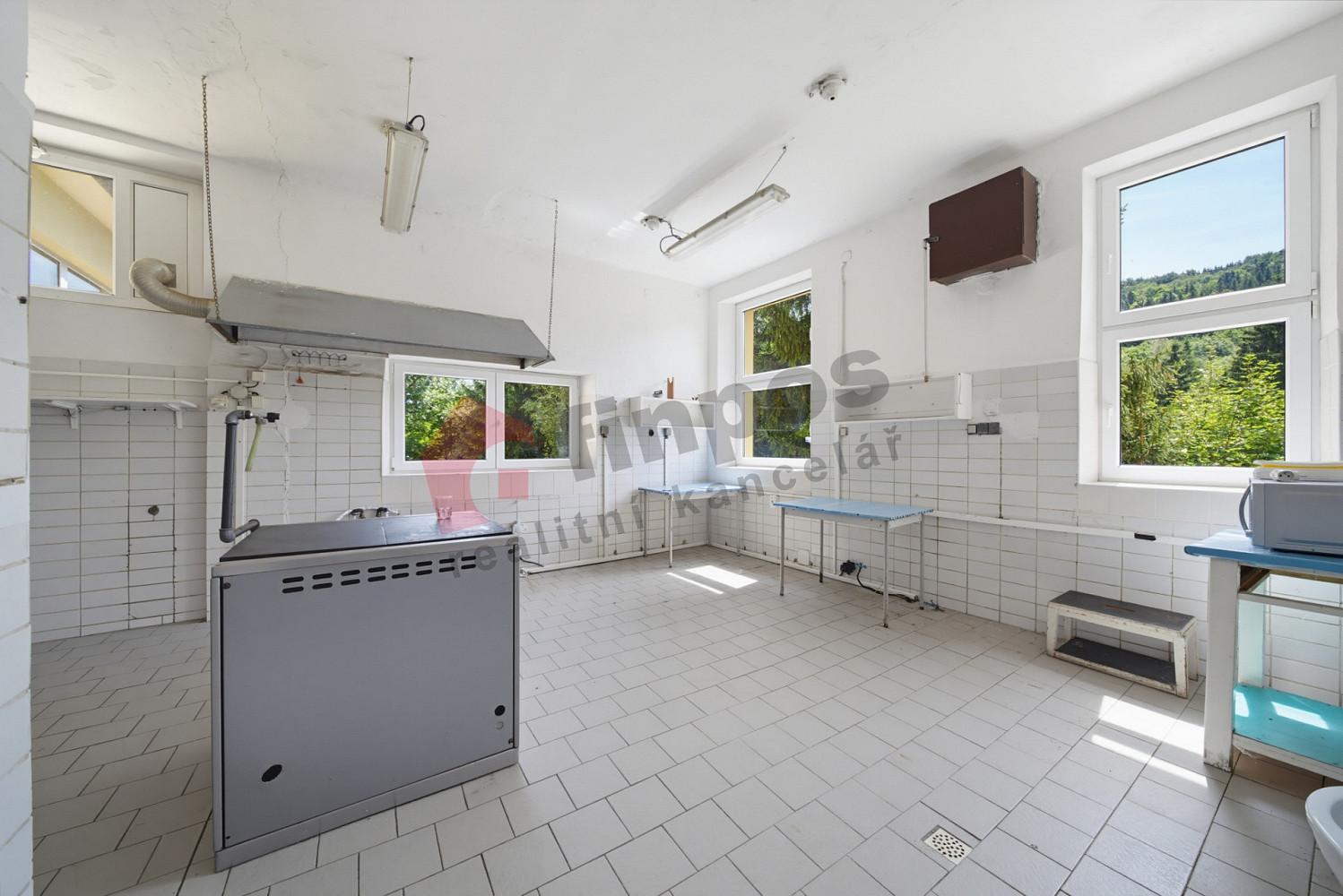 Fotka 19 z 30