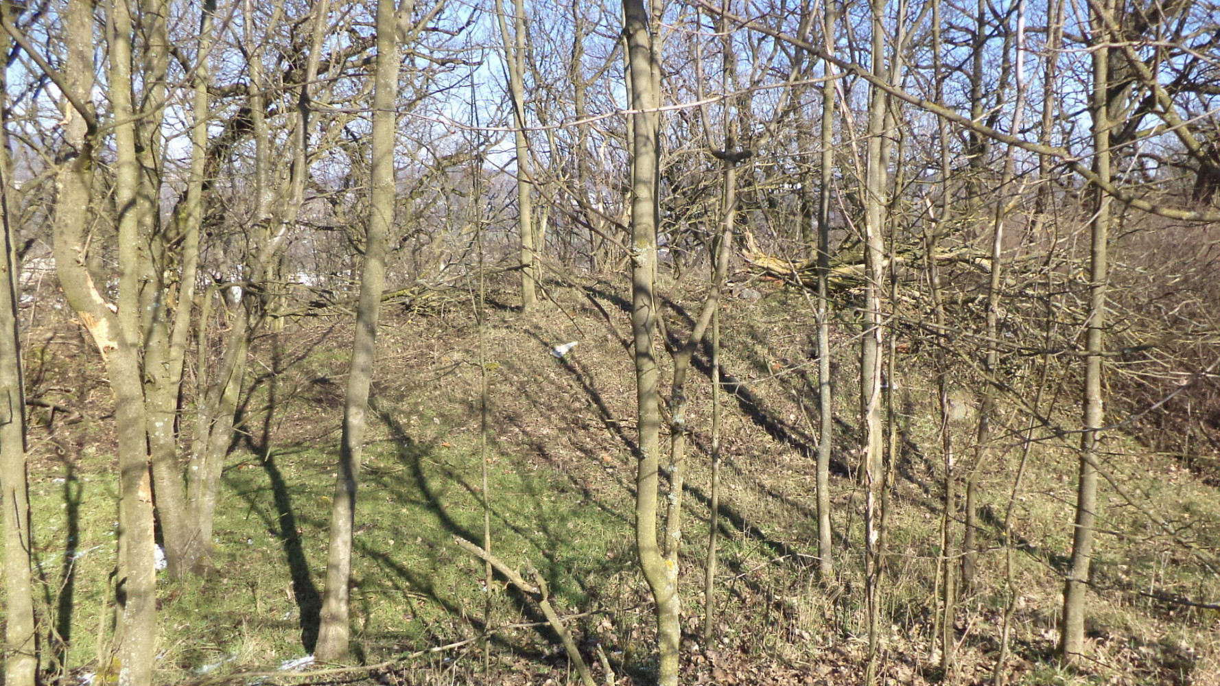 Prodej pozemku 7 064 m² – fotografie 3