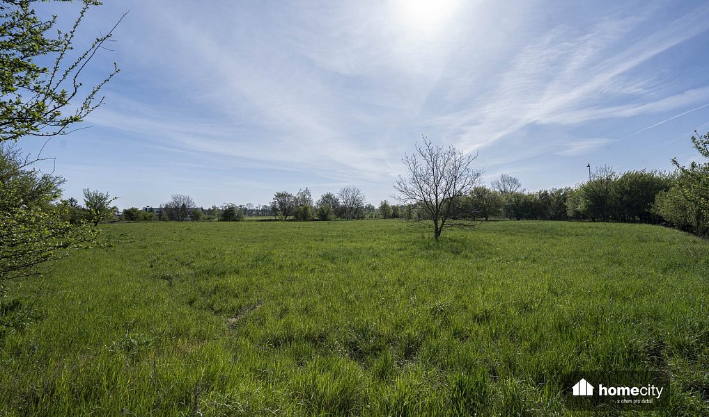 Prodej komerčního pozemku 9 749 m², Smiřice – náhled fotky 4
