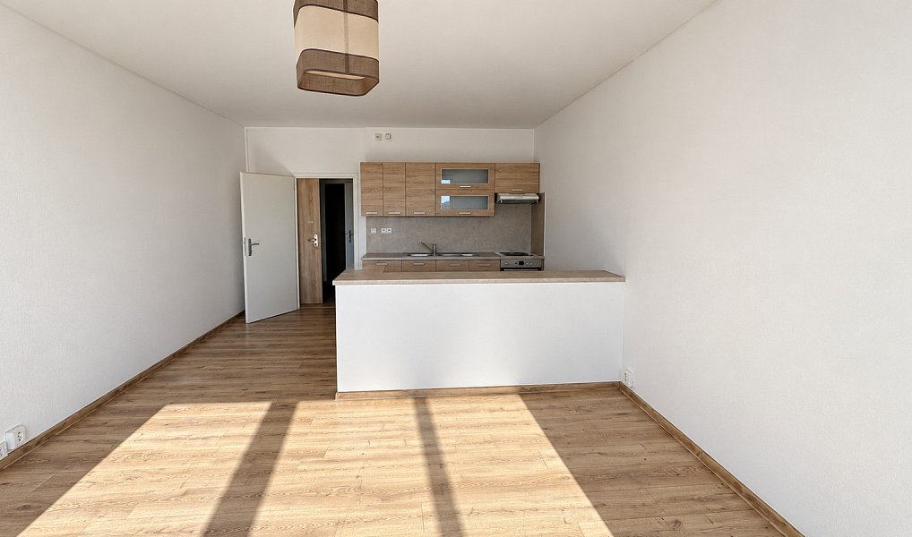 Pronájem bytu 1+kk 33 m², Orlová – náhled fotky 4