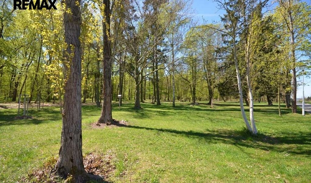 Pronájem zahrady 800 m², Slaný – náhled fotky 3