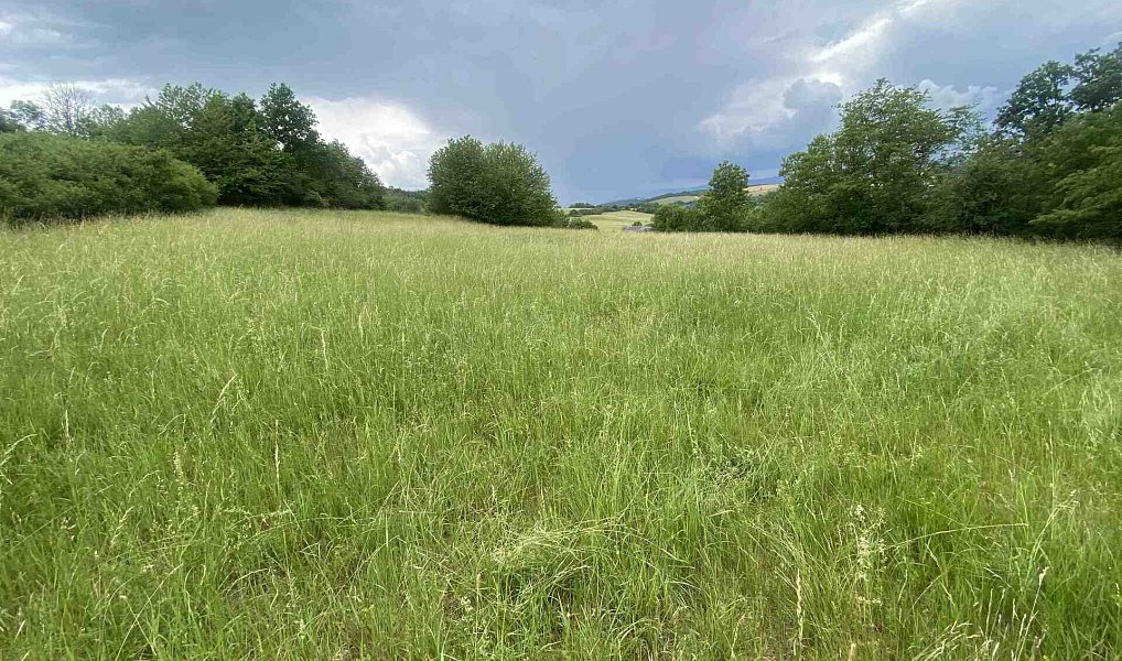 Prodej pole 10 485 m², Řehlovice – náhled fotky 2