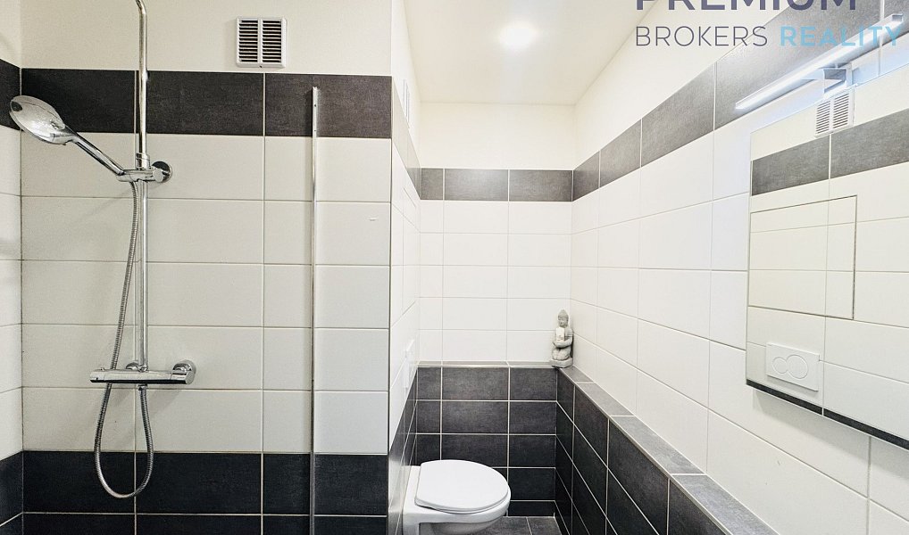 Prodej bytu 1+1 40 m², Žatec – náhled fotky 4