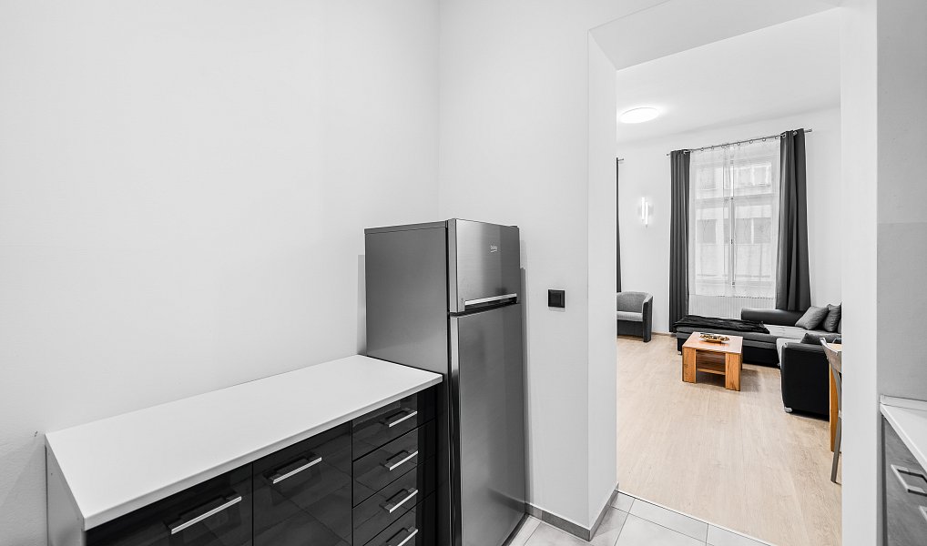 Pronájem bytu 1+kk 40 m², Praha – náhled fotky 5