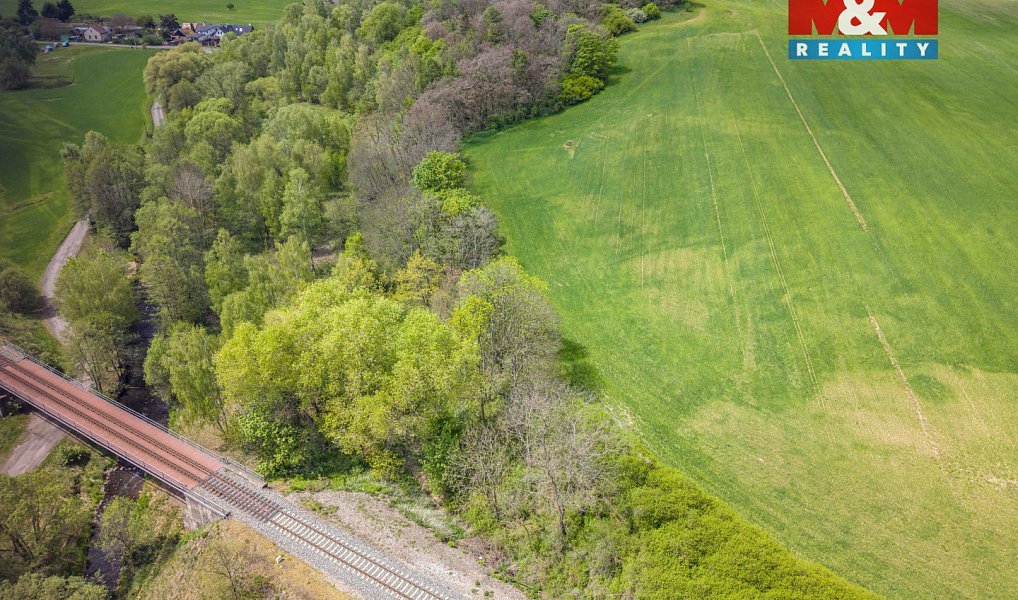 Prodej lesa 909 m², Trhové Dušníky – náhled fotky 9
