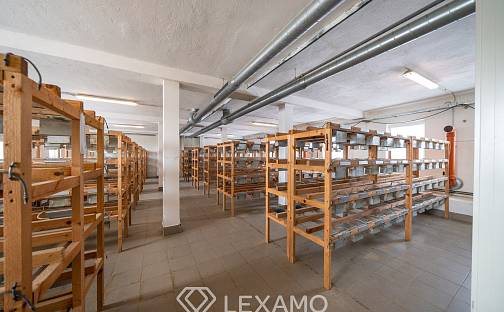 Pronájem výrobních prostor 200 m², Moravské Budějovice - Vranín, okres Třebíč
