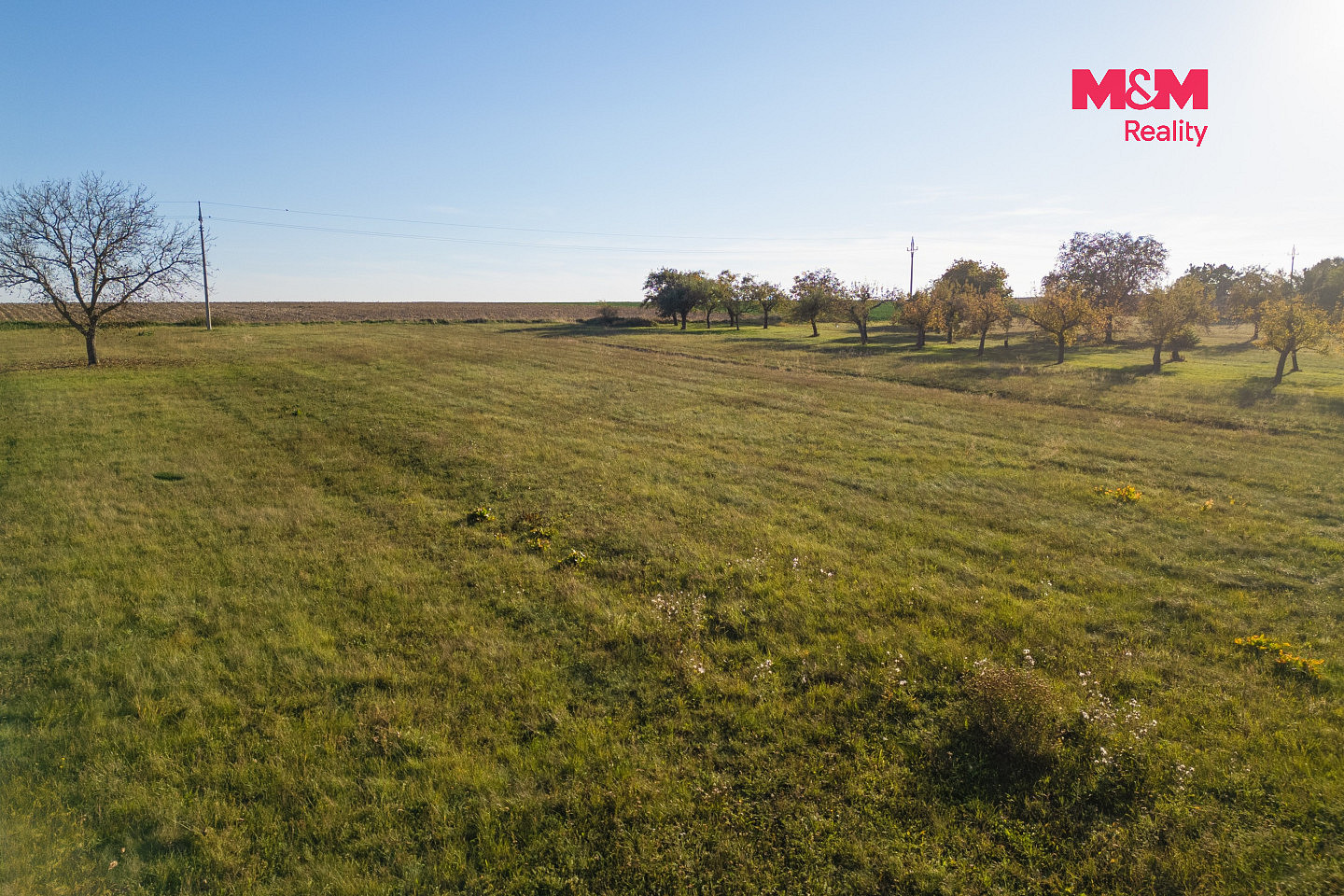 Prodej zahrady 2 000 m² – fotografie 3