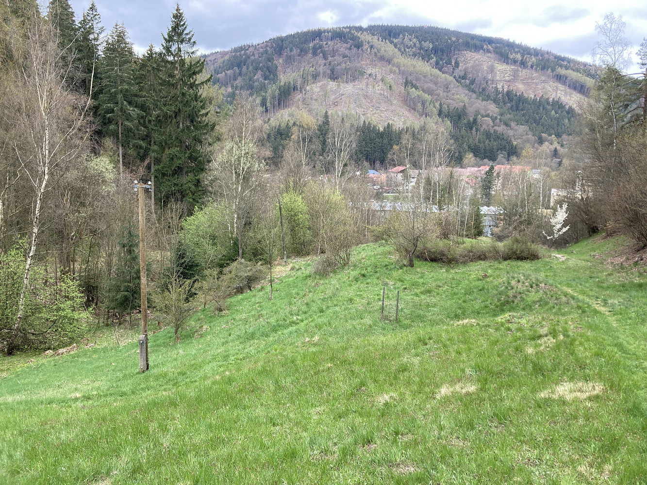 Prodej stavebního pozemku 7 289 m² – fotografie 3