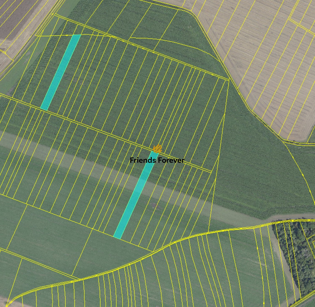 Prodej pole 6 302 m² – fotografie 3