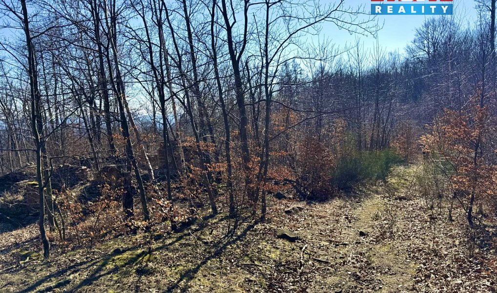 Prodej pozemku 443 m², Hrob – náhled fotky 4