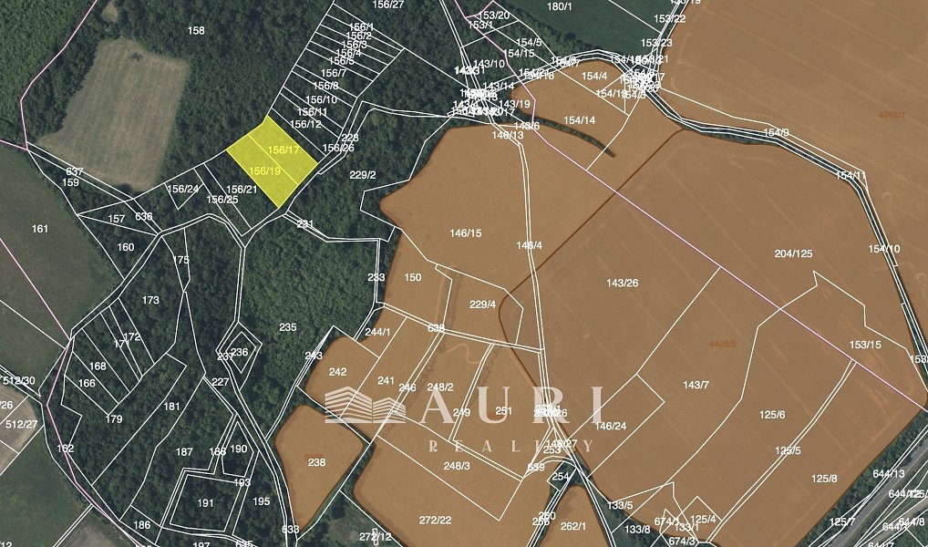 Prodej pozemku 5 383 m², Čížkovice – náhled fotky 2