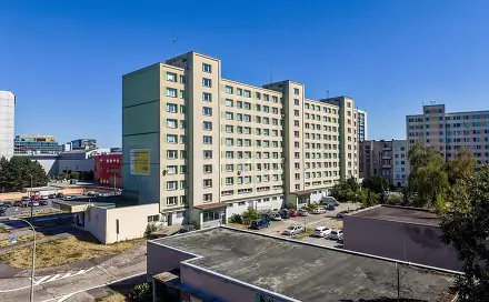 Prodej bytu 4+kk 110 m², K Polabinám, Pardubice - Zelené Předměstí