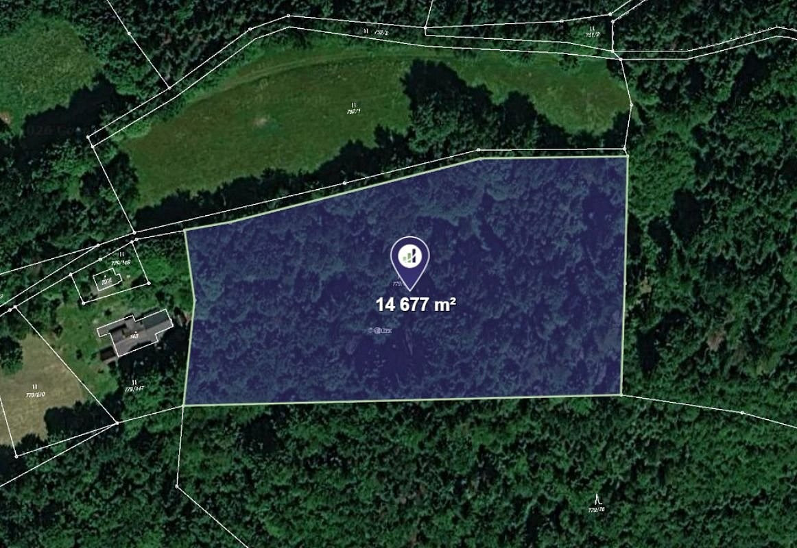 Prodej lesa 14 677 m²