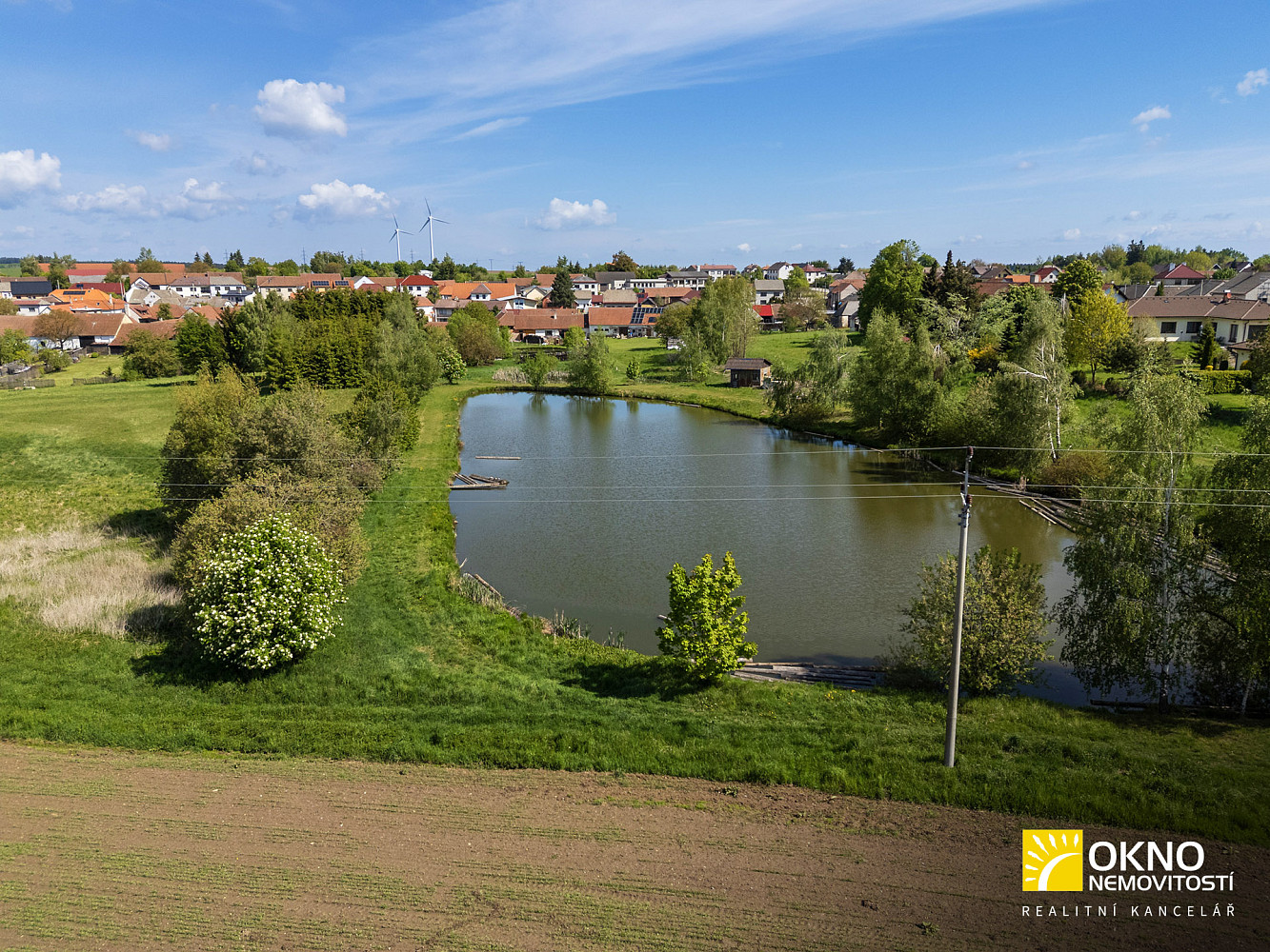 Prodej louky 3 974 m² – fotografie 5
