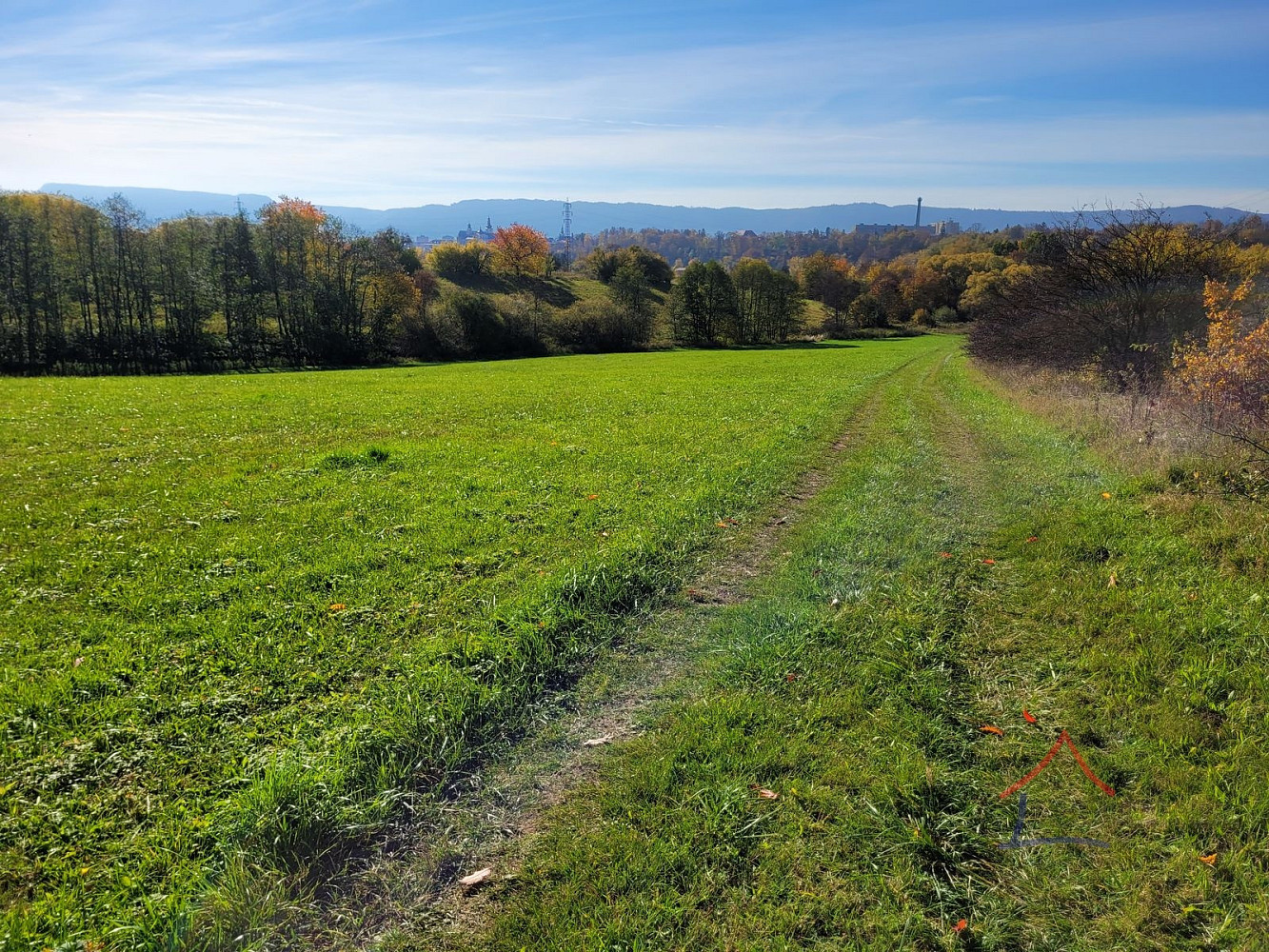 Prodej louky 52 559 m² – fotografie 3