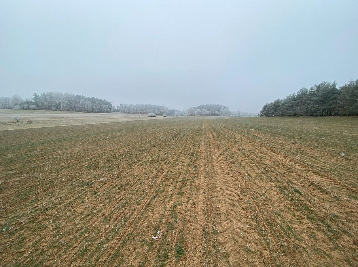 Prodej pole 13 059 m² – fotografie 3