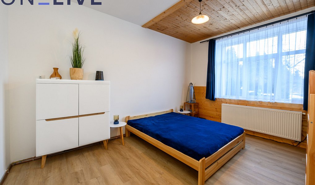 Prodej komerčního objektu (jiného typu) 500 m², Železná Ruda – náhled fotky 17