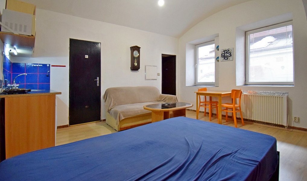 Pronájem bytu 1+kk 24 m², Praha – náhled fotky 8