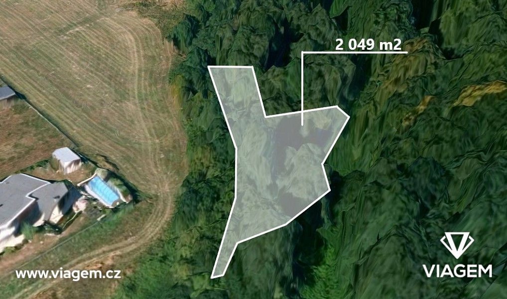 Prodej lesa 1 258 m², Velká Polom – náhled fotky 6