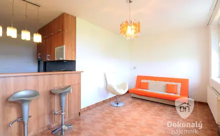 Pronájem bytu 1+kk 32 m², V Honech, Klecany, okres Praha-východ
