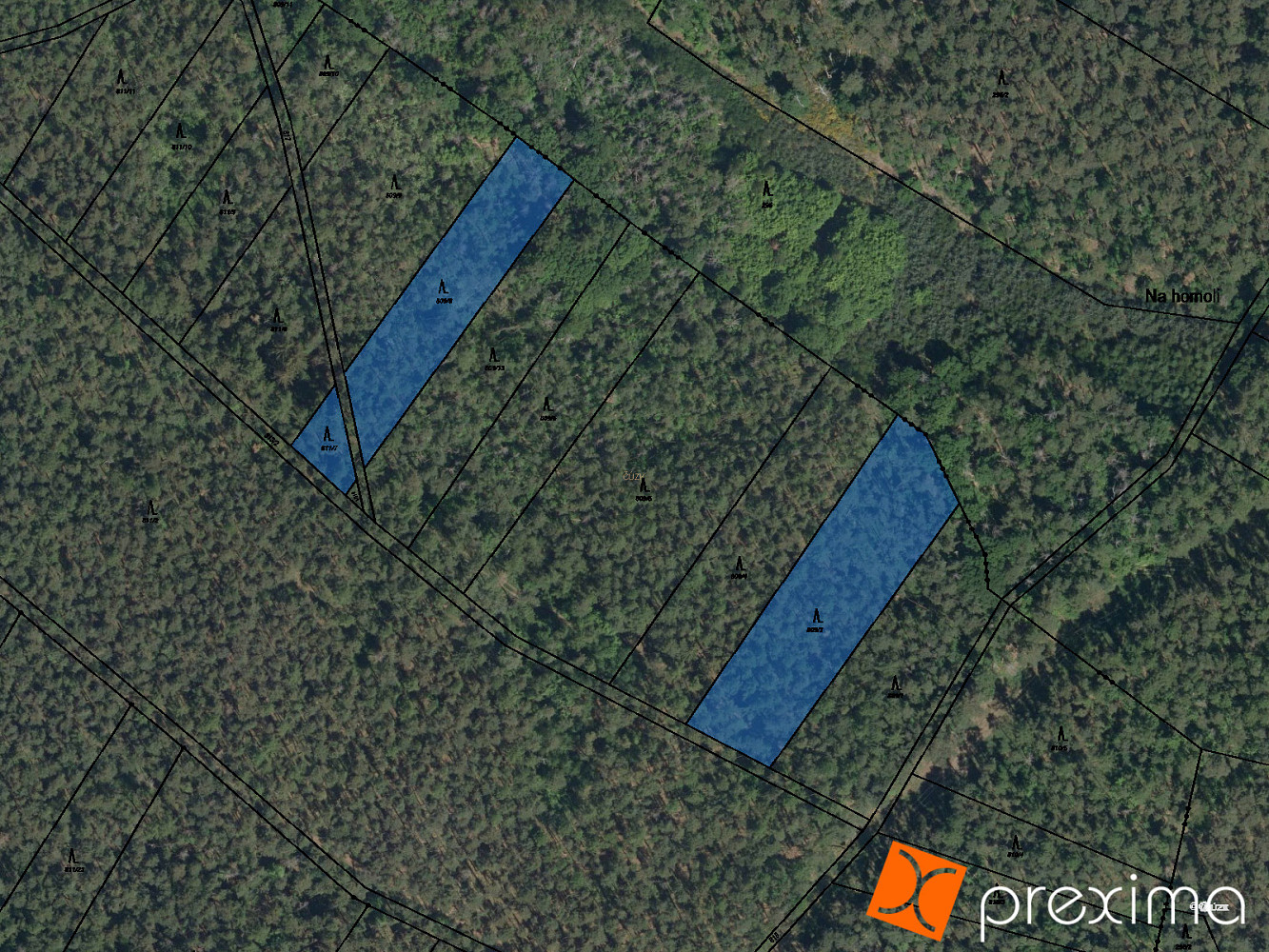 Prodej lesa 460 m²