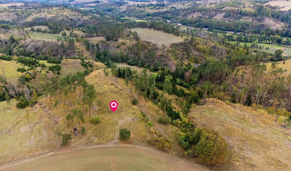 Prodej lesa 15 246 m², Vladislav – náhled fotky 14